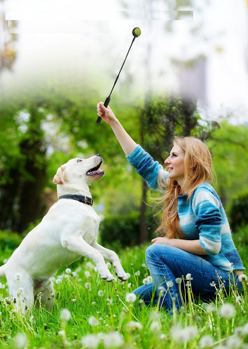 Lanceur de balle chien-jouet pour chien-lancer bâton-adapté pour différentes balles-jouet pour chien-taille S
