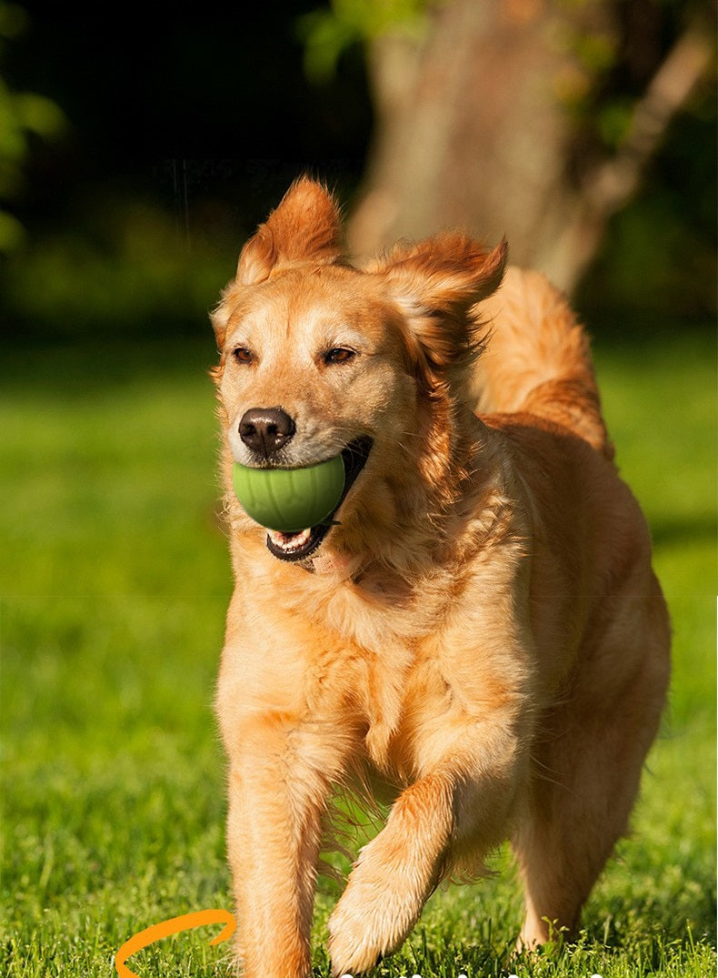 Lanceur de balle chien-jouet pour chien-lancer bâton-adapté pour différentes balles-jouet pour chien-taille S