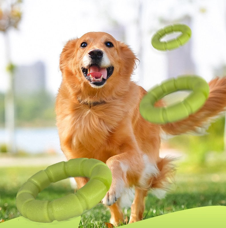 Lanceur de balle chien-jouet pour chien-lancer bâton-adapté pour différentes balles-jouet pour chien-taille S