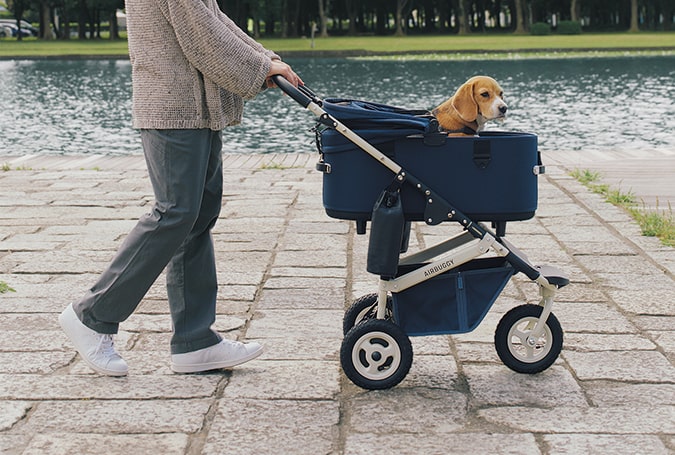 AirBuggy Dome 3 Premier Set Large – Navy Blue
