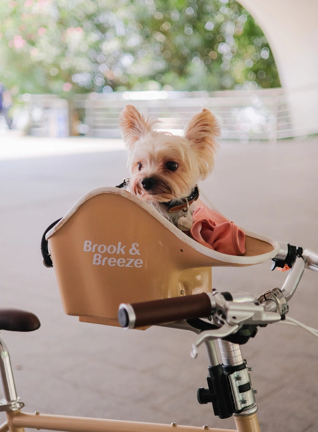 Brooke & Breeze Canine Copilot - Crème Beige Brooke & Breeze