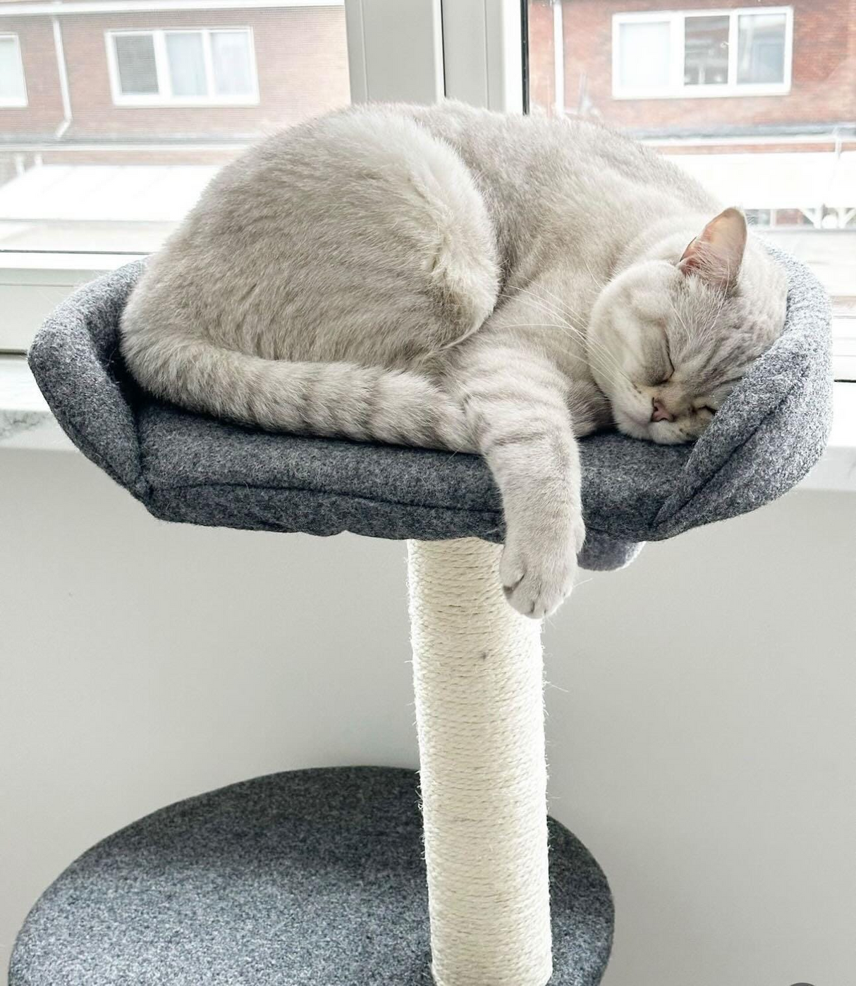 Luxe krabpaal voor katten - Cindy - 5 niveaus - sisal krab kolommen - pluche bed SpirePets