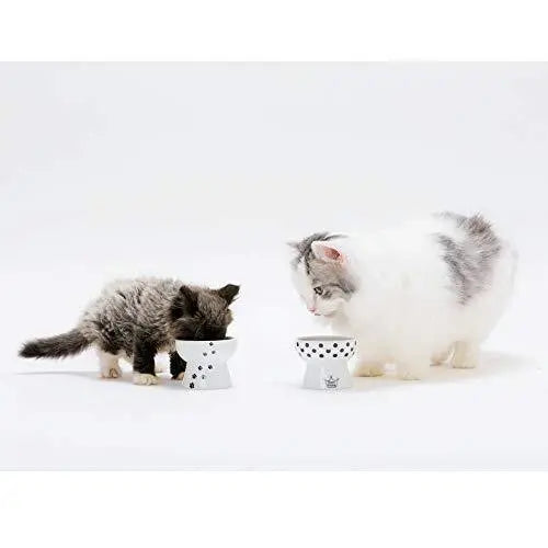 Mini voerbak katten of hondjes - hoog model - 8x6.5x6cm (LxBxH) - kattenvoerbak - katten voerbak - 35ml Coolgods