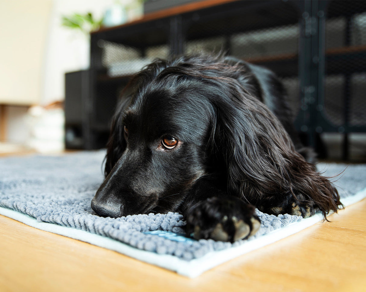 Noodle droogmat - Maat L – Voor een droge en schone hond SpirePets