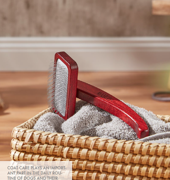 MAXIPIN Slicker vachtborstel hond of kat – Voor een stralende en gezonde vacht SpirePets