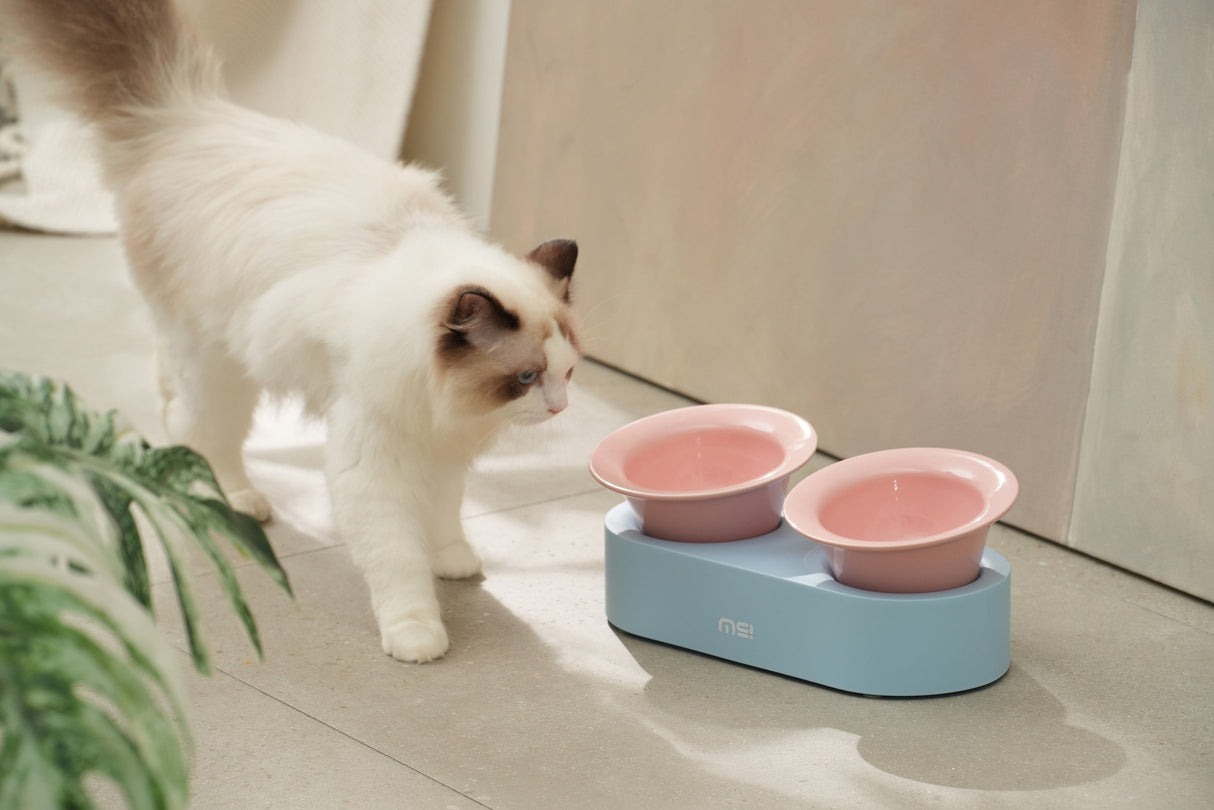 Keramische kattenvoer- en drinkbak set met verhoogd ontwerp – stijlvol en ergonomisch SpirePets