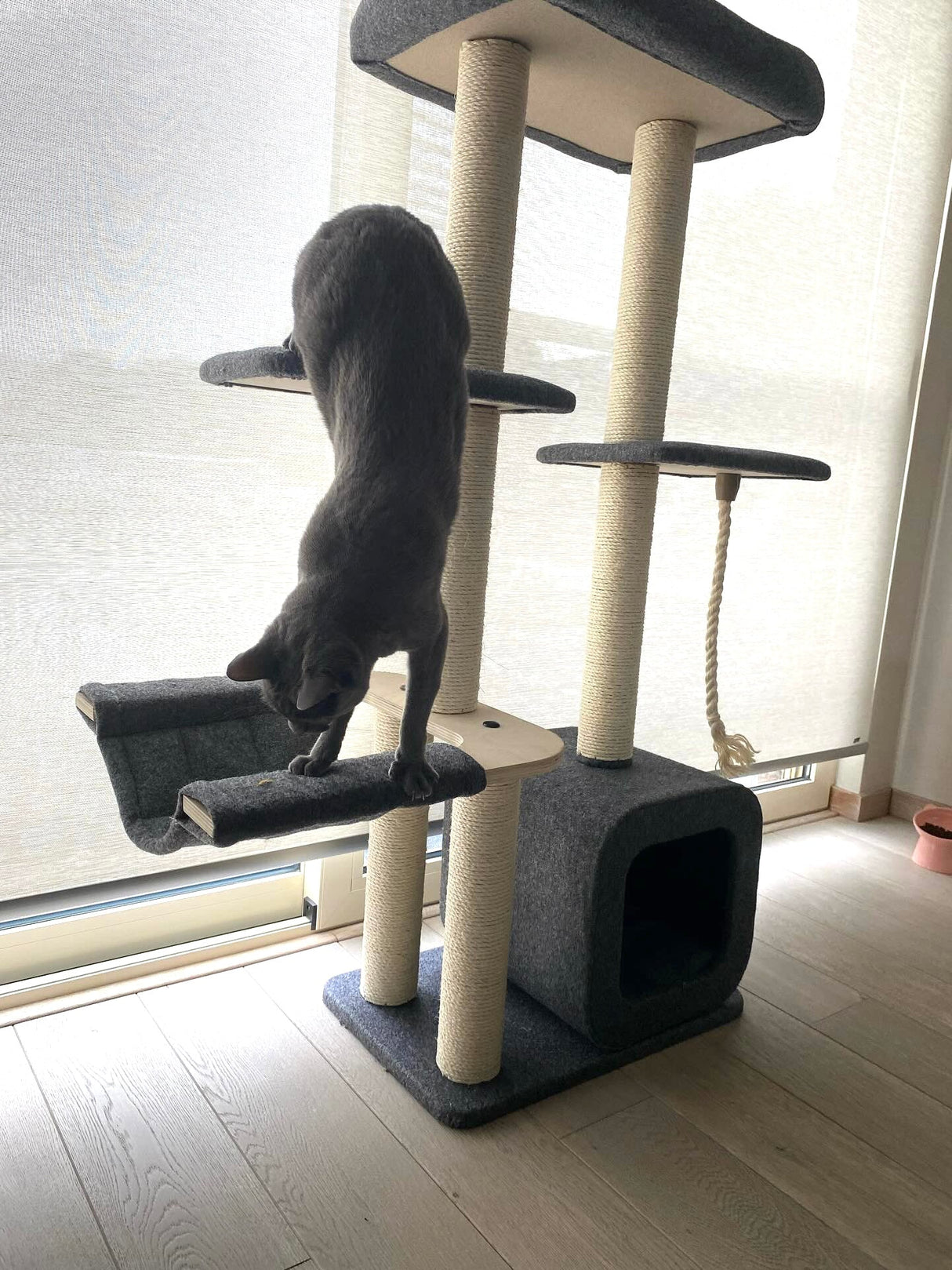 Katten krabpaal Candy - klimboom - krabmeubel - grijs SpirePets