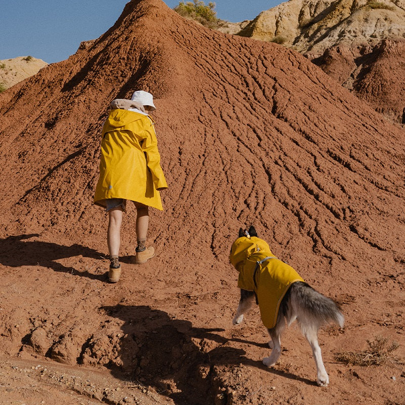 Zomerzon Gele Windicht & Waterdichte Puffer Regenjas voor Honden - Ademend - Voor Grotere Honden SpirePets