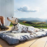 Honden Campingbed voor buiten - Waterdicht - Oprolbaar - Donkerblauw - Maat L - 120x90x4cm (LxBxH) SpirePets