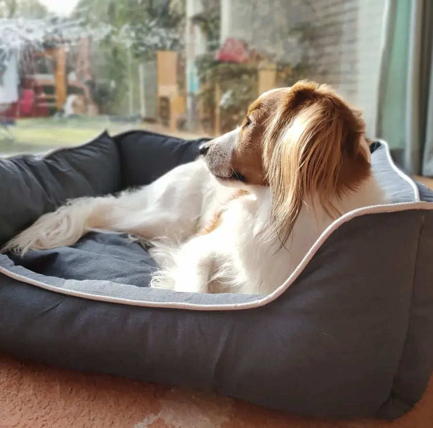 Bora Huisdier Bed | Binnenkussen | Antislip Hondenmand SPIRE-PETS