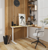 Sit-stand desk electrically adjustable | Ergonomic workplace | Height adjustable | Desktop 120*60*2.5cm | Maximum height 123 cm | Minimum height 73cm