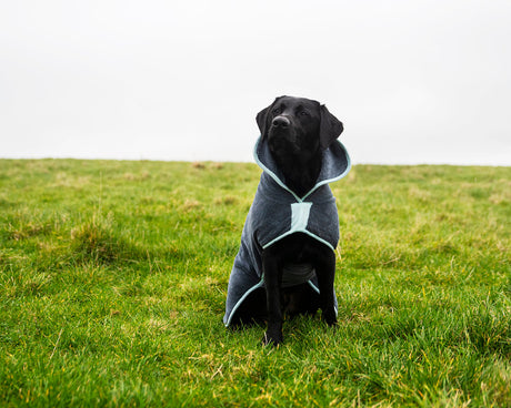 Henry Wag microvezel hondenbadjas - droogjas voor honden - Maat L Henry Wag