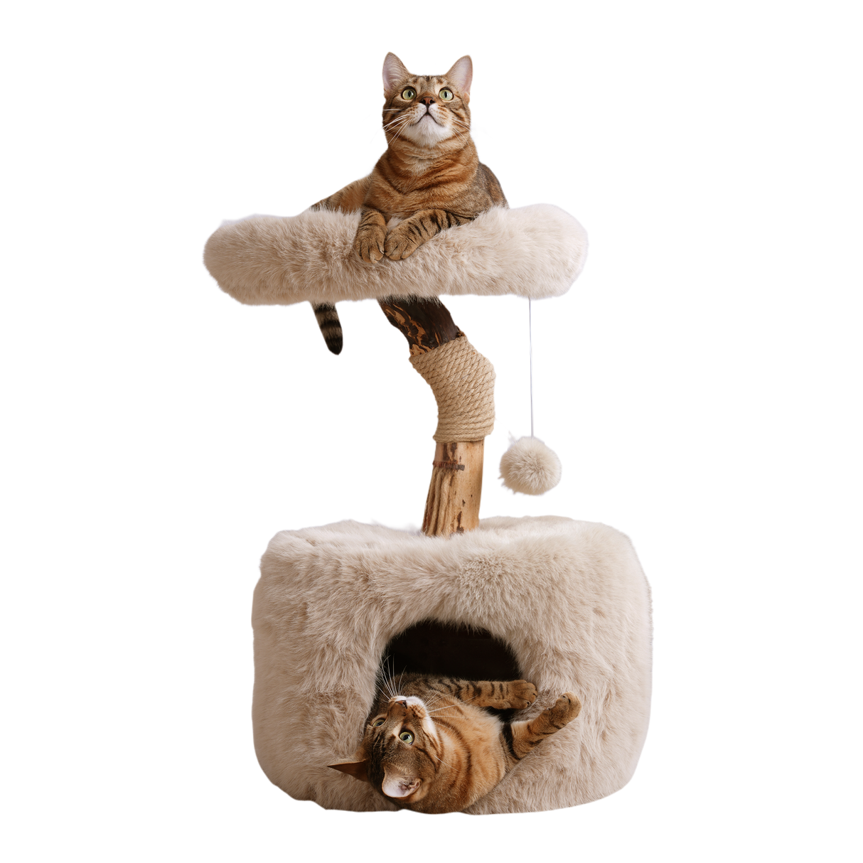 ISLA krabpaal met kattenhuis en kattenmand SpirePets