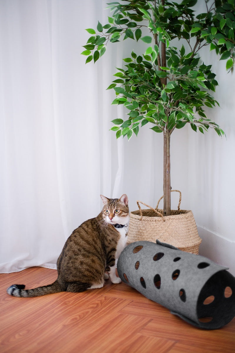 Kattentunnel van Vilt - speelgoed voor katten - speeltunnel huisdieren 63x40cm Coolgods