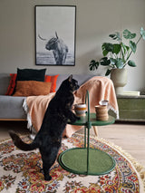 Katten Krabplank - Krabmeubel - Groen - One Size fits all - 3 in 1 SpirePets