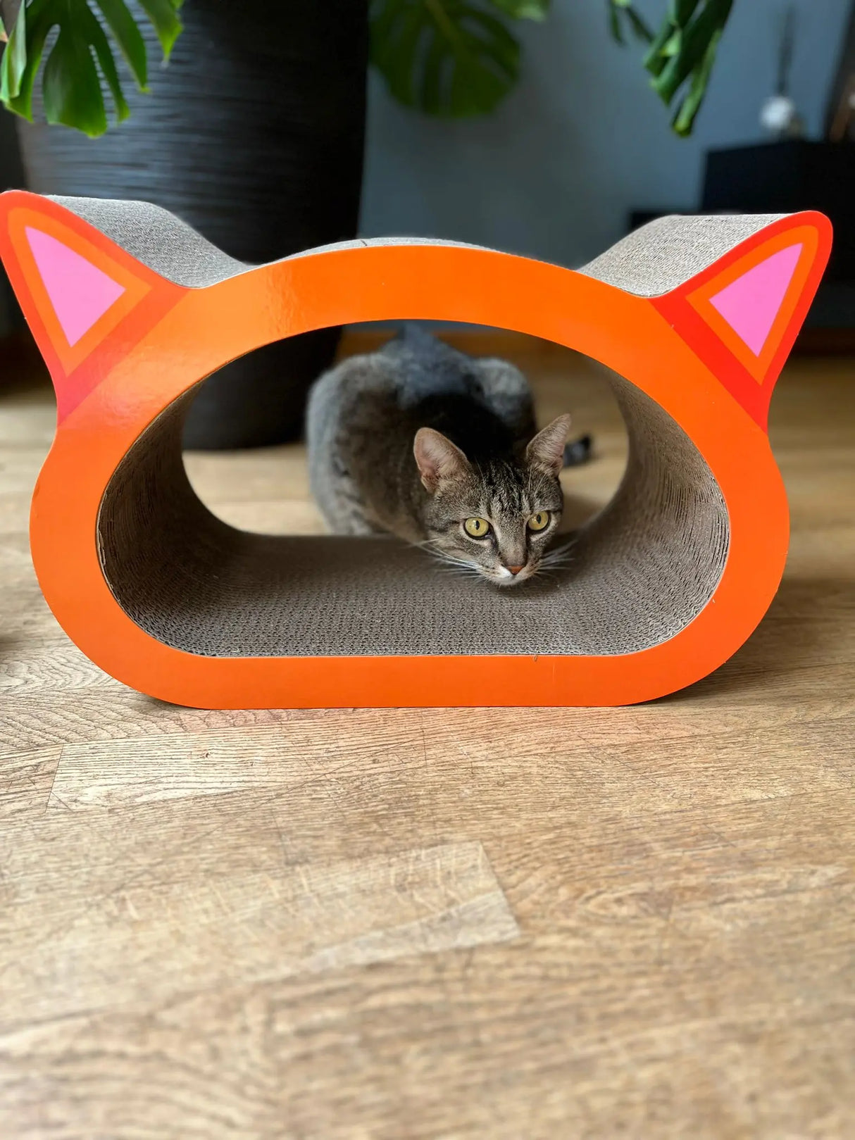 SpirePets Katten krabmat krabmeubel | katten krabplank | Katten speelmeubilair SPIRE-PETS