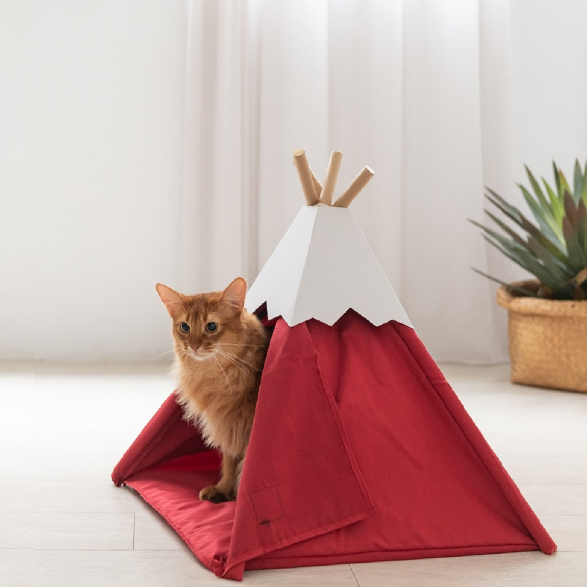 Tipi Kattenmand - Kattentent - Tipi tent voor katten - 52x55x55cm - Blauw SpirePets