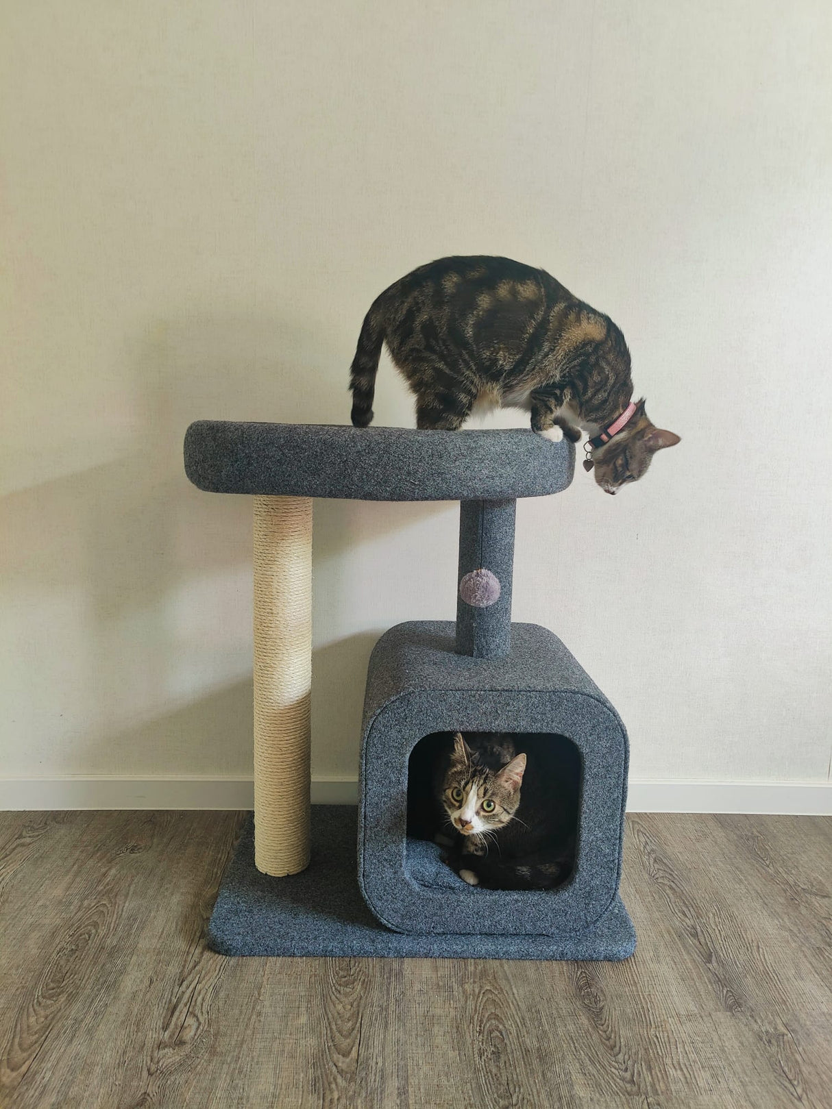 Scratching post for cats with house | Keep your cat entertained | 2 levels | Cozy place to sleep | Jump platform