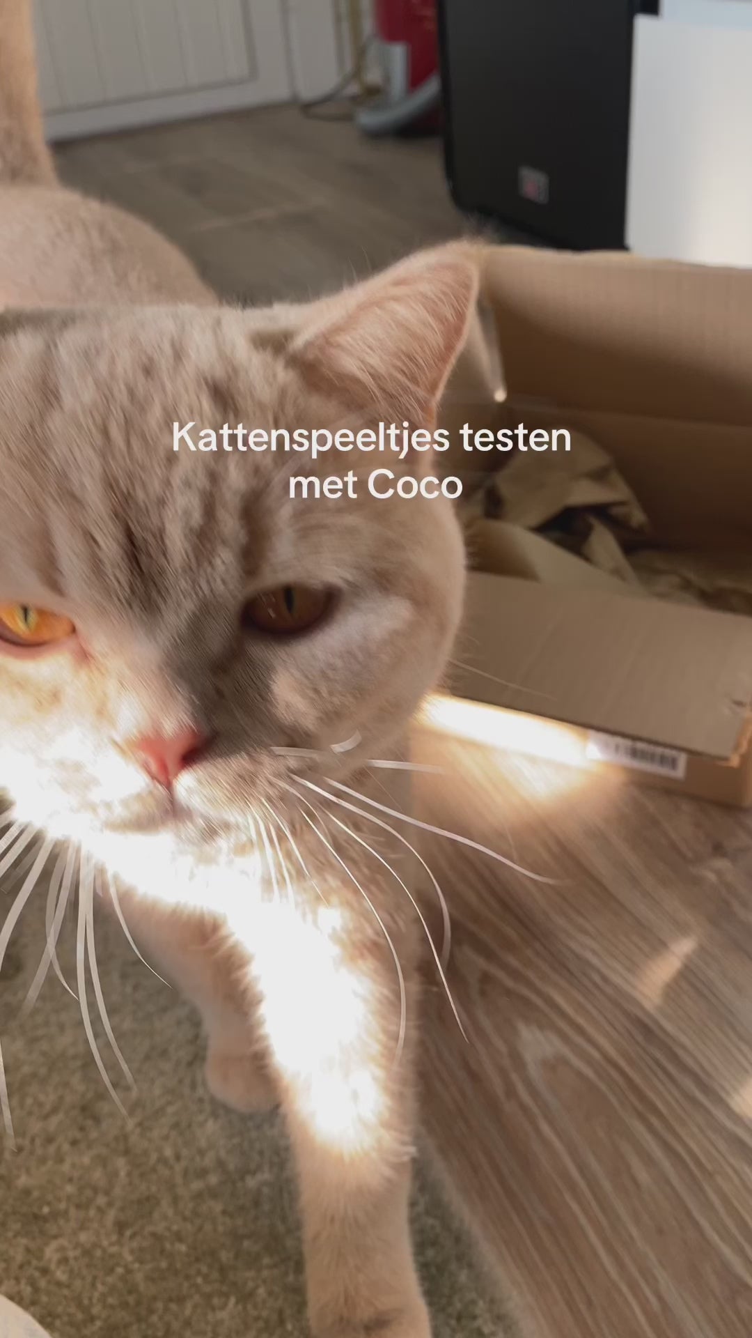 Kattenspeelgoed - handgemaakt - konijn ontwerp - duurzame materialen