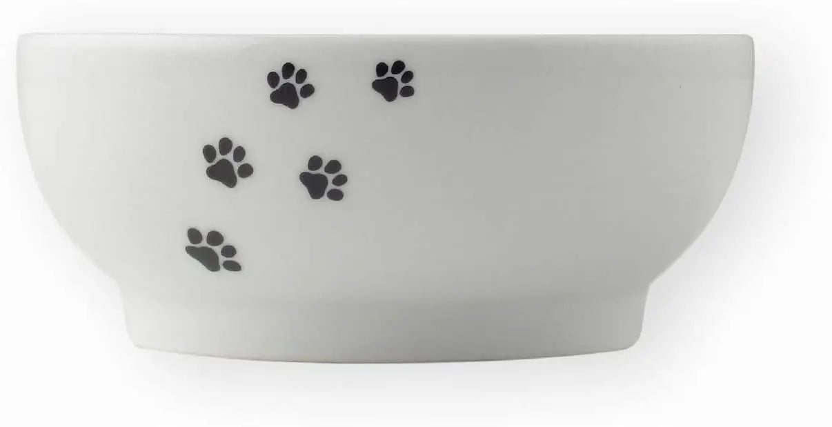 water of food bowl for cat or dog